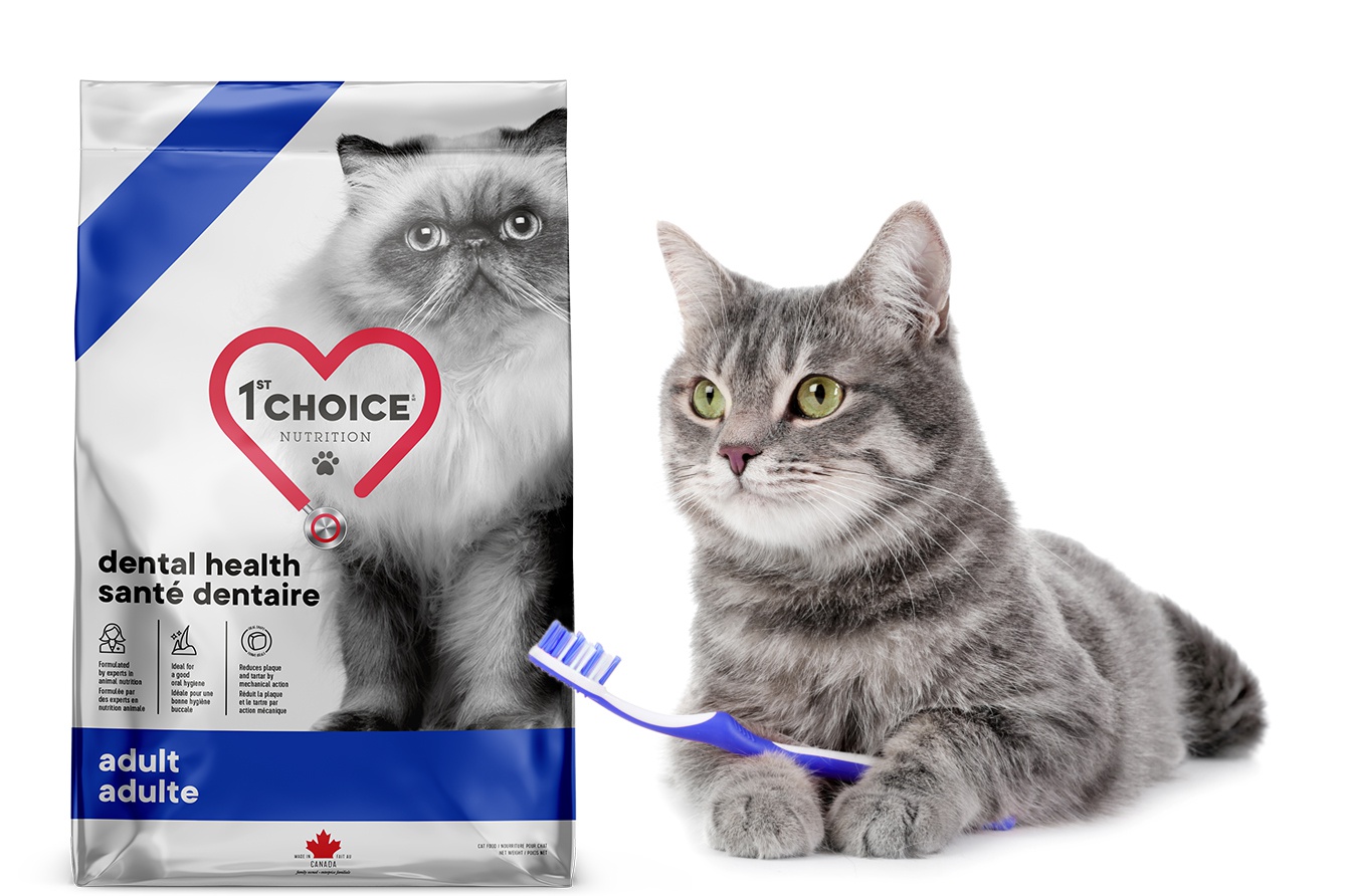 Nourriture Sante Pour Chats 1st Choice Canada